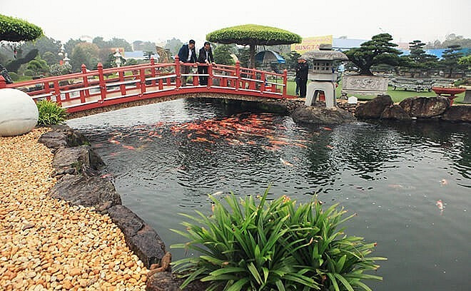 Những năm gần đây, thú chơi cá Koi (cá chép Nhật) ngày một phổ biến ở Việt Nam, nhất là với giới đại gia. Một trong những hồ cá Koi độc nhất vô nhị được nhiều người biết đến là hồ cá của đại gia Lê Văn Dũng ở TP Sông Công (Thái Nguyên). Ảnh: Thuonghieusanpham