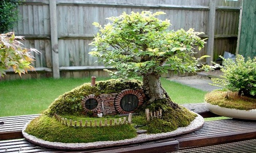 Những tiểu cảnh, chậu bonsai đẹp, lạ mắt thể hiện sự khéo léo, tài tình và con mắt nghệ thuật của người nghệ nhân.