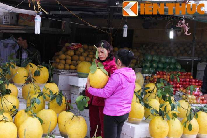Thay vì chọn các loại quả quen thuộc như bưởi, phật thủ để bày mâm ngũ quả hoặc chưng Tết, nhiều khách Hà Nội chọn mua quả bưởi vàng khổng lồ mặc dù mức giá của chúng khá đắt.