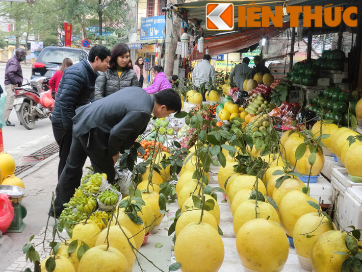 Rất nhiều vị khách tò mò, xem xét thật kỹ trước khi mua bưởi vàng khổng lồ. Những quả có đủ cuống, lá xanh tươi, dáng tròn đẹp thường có giá đắt đỏ hơn. Mỗi cây bưởi thường cho thu hoạch từ 60 – 70 quả.