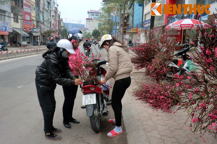 Sáng sớm, nhiều người đã dừng xe mua đào cành về cắm trong nhà sau Tết.