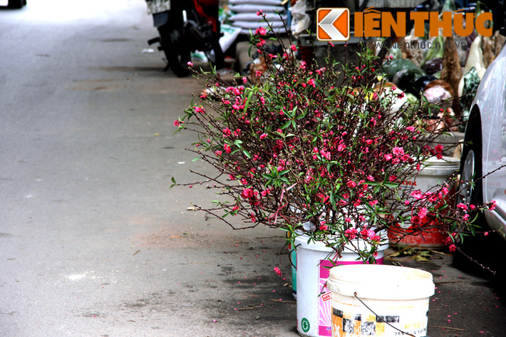 Cận cảnh đào dăm được bán bên vệ đường.
