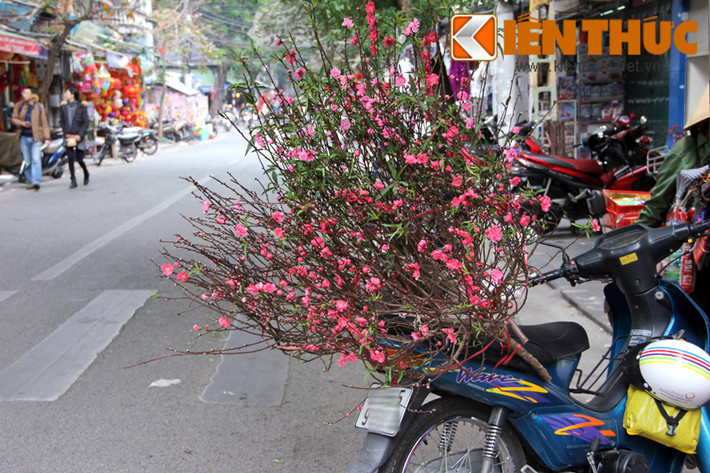 Theo nhiều tiểu thương, hoa đào bán dịp này là để phục vụ khách mua cúng rằm tháng Giêng.