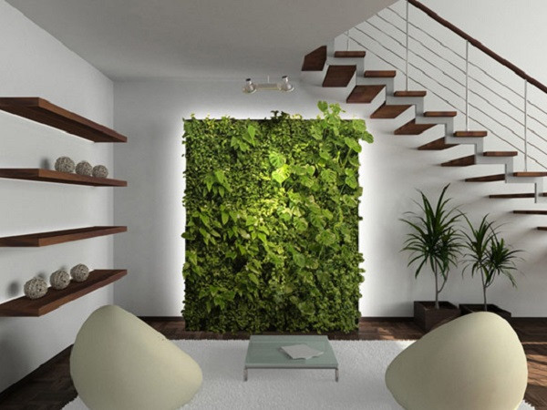 Dưới gầm cầu thang, việc bài trí tiểu cảnh, vườn cảnh cây xanh không chỉ tạo không gian đặc biệt cho ngôi nhà mà vẫn mang lại may mắn cho gia chủ. Có thể chọn những loại cây trồng trong nhà, ưa môi trường thiếu sáng, ẩm và có ý nghĩa theo phong thủy như hồng môn, vạn niên thanh, kim ngân...