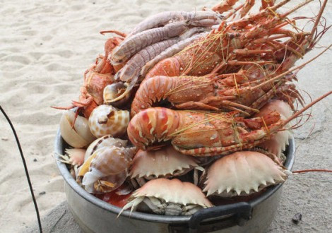 Ngoài ra, bạn nên nhớ tránh mua ghẹ, tôm, cua vào những ngày rằm hoặc gần rằm (giữa tháng âm lịch), vì lúc đó hải sản không được ngon.