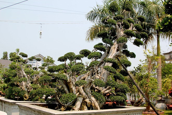 Hồi tháng 9/2015, nghệ nhân Ba Hùng đã chia sẻ với báo giới ông đang rao bán vườn cảnh này với mức giá 170 tỷ đồng.