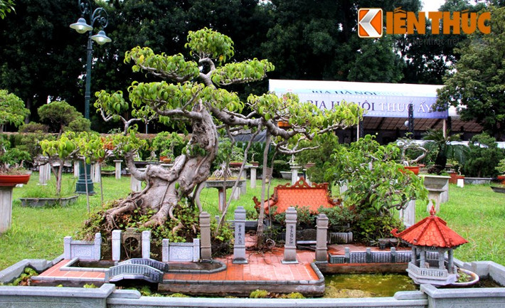 Tập trung hàng trăm cây cảnh đắt tiền, trị giá bạc tỉ của các nghệ nhân, đại gia từ nhiều nơi, vườn cây cảnh nghệ thuật tại Hoàng Thành Thăng Long (Hà Nội) cũng thu hút sự chú ý của không ít người.