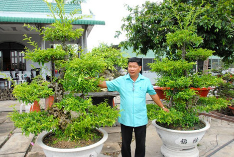 Đồng Tháp luôn là vùng đất có nhiều đại gia chịu chơi, mê cây cảnh. Sẽ là thiếu xót nếu không nhắc đến đại gia Nguyễn Thanh Công (Châu Thành, Đồng Tháp), với hơn 500 cây cảnh thuộc hàng đắt đỏ như cây nguyệt quế cổ thụ giá trên 1 tỷ đồng, cây sanh có tuổi đời trên trăm năm có giá 1,5 tỷ đồng.