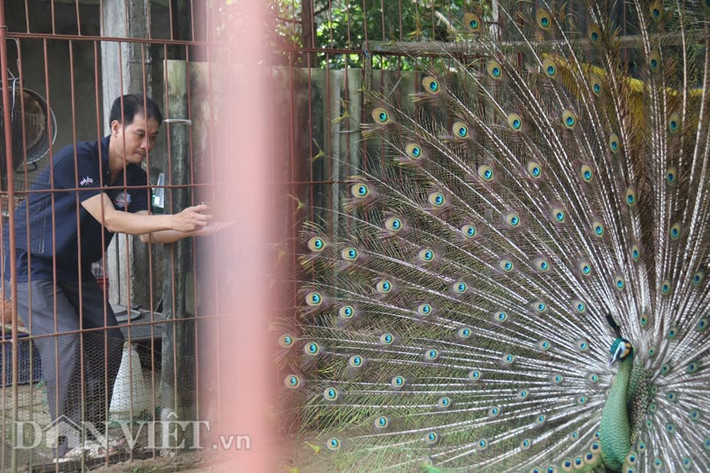Một khách tham quan chụp hình tại trại công của anh Tuấn.