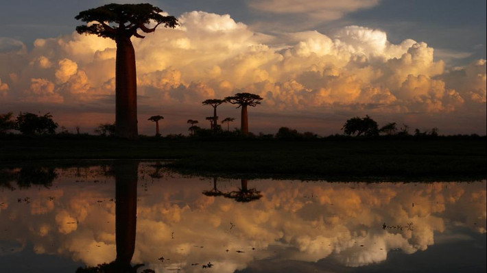 Hòn đảo lâu đời nhất trên Trái đất là Madagascar. Nó tách khỏi lục địa cách đây khoảng 80-100 triệu năm.