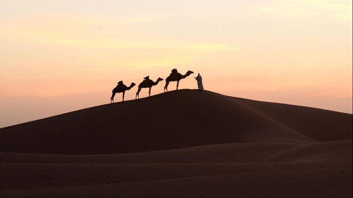 Sahara là sa mạc nóng và lớn nhất thế giới với chiều dài 5.149 km và rộng hơn 2.000 km.