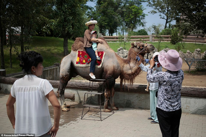 Du khách chụp ảnh cưỡi trên lưng lạc đà trong vườn thú ở thành phố Bình Nhưỡng.