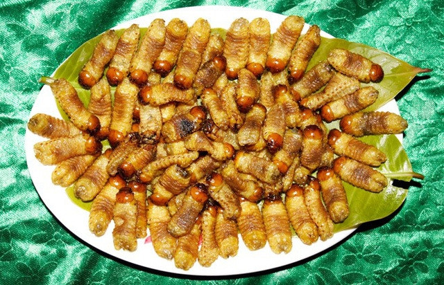 Nhìn bề ngoài, sùng đất dễ khiến ta có cảm giác rùng mình. Nhưng khi thưởng thức nhiều người tấm tắc khen ngon. Ảnh: Dân trí