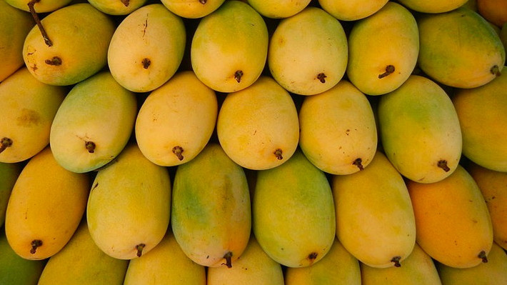 Tuy nhiên, cũng có thời điểm, giá xoài cát Hòa Lộc rẻ, từ 25.000 - 40.000 đồng/kg tại các khu chợ. Ảnh: Bachhoaxanh