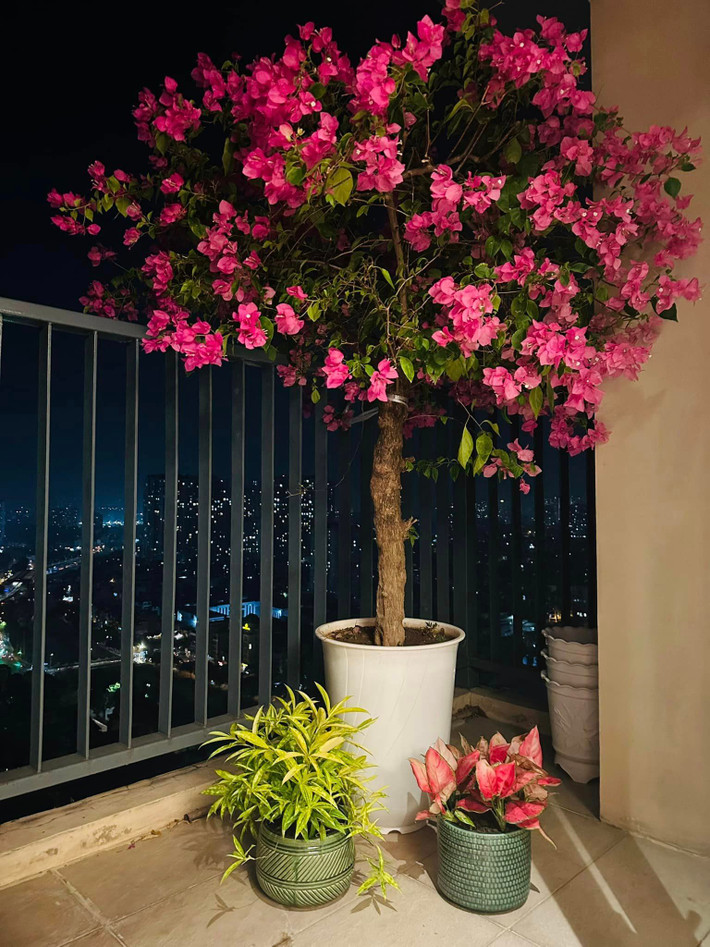 Mới đây, nam MC khoe góc ban công cực chill khiến dân tình không khỏi xuýt xoa.
