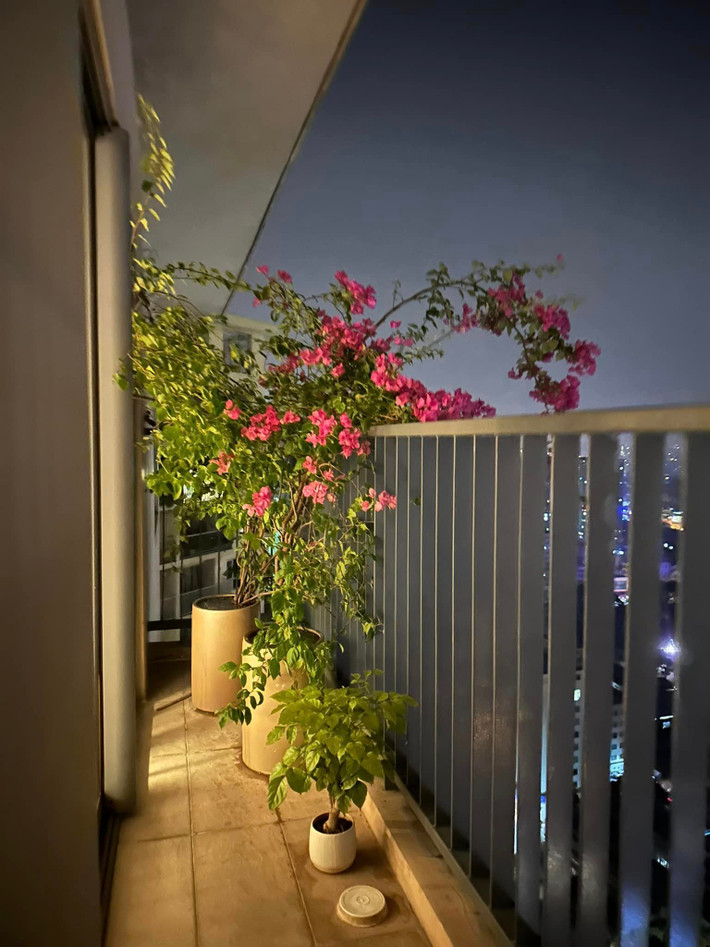 Ban công trong căn penthouse của MC Thành Trung thoáng đãng, đặt vài chậu hoa, cây cảnh với nhiều kích cỡ to nhỏ khác nhau.