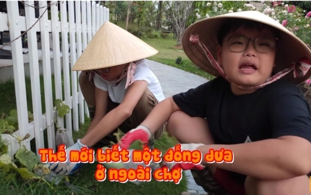Vợ Xuân Bắc tận dụng các khu vực trong vườn để trồng một số loại rau củ như: rau muống, bí, dưa... Ảnh chụp màn hình