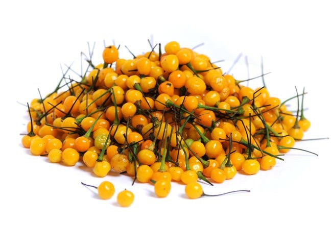 Mỗi cây ớt Peru cho hàng trăm quả tròn, màu đỏ hoặc màu vàng nhưng màu vàng phổ biến hơn cả. Ảnh: Cdditycentral
