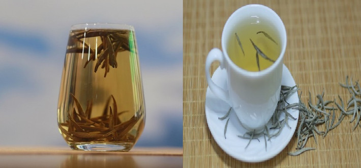 Do đó, trong vòng một năm người dân chỉ khai thác được 2-3kg thành phẩm trà siêu cao cấp này. Ảnh: Kinhtetieudung