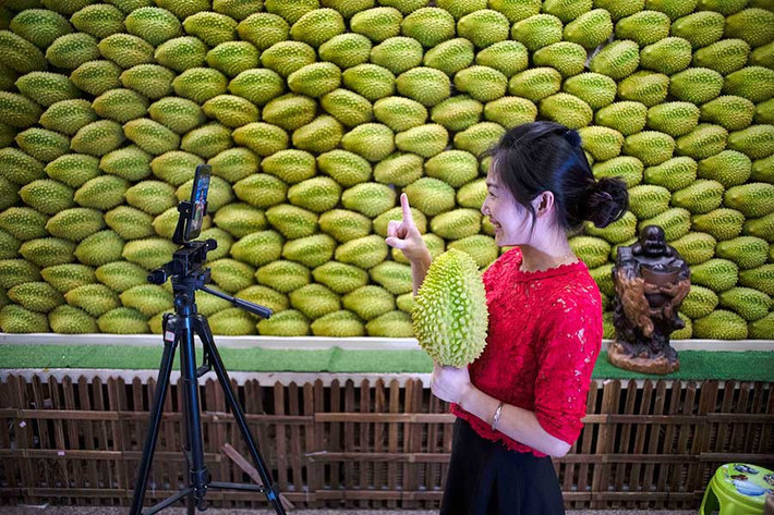 Với nguồn cung dồi dào, người dân làng Nghĩa Ô đã tận dụng lợi thế này, mang các nông sản tại làng mình đến trung tâm bán buôn hàng hóa livestream.