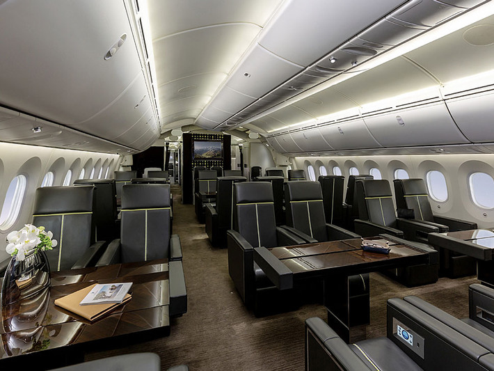 Boeing 787 BBJ cung cấp các tiện nghi như độ cao cabin thấp hơn, cửa sổ lớn hơn, không khí sạch hơn và có độ ẩm cao hơn. Khoang của máy bay rộng đến mức có thể bao gồm hai phòng ngủ chính, hai phòng tắm chính, hành lang, phòng ăn và khu vực hội nghị. Tất nhiên, cabin trên mỗi máy bay sẽ là duy nhất vì mỗi khách hàng có thể tùy chỉnh để phù hợp với nhu cầu.
