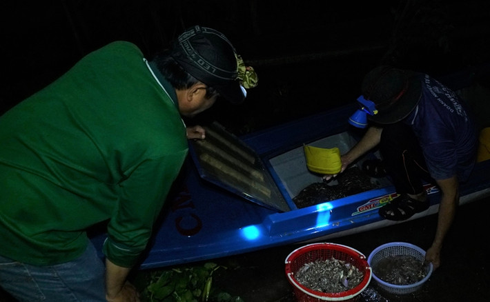 Ven bờ kênh Vĩnh Tế, ngay chân cầu Tha La (xã Vĩnh Tế, TP Châu Đốc, tỉnh An Giang) có một phiên chợ đặc biệt, được người dân địa phương gọi là chợ cá "âm phủ". Ảnh: Dân trí