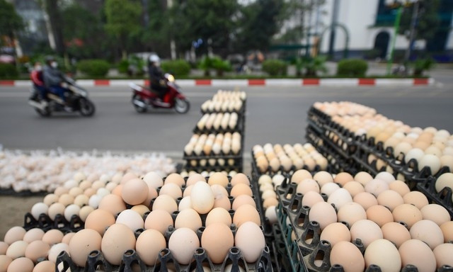Thấy trứng gà giá rẻ nên nhiều người ngang qua cũng ghé vào mua. Ảnh: Vietnamnet