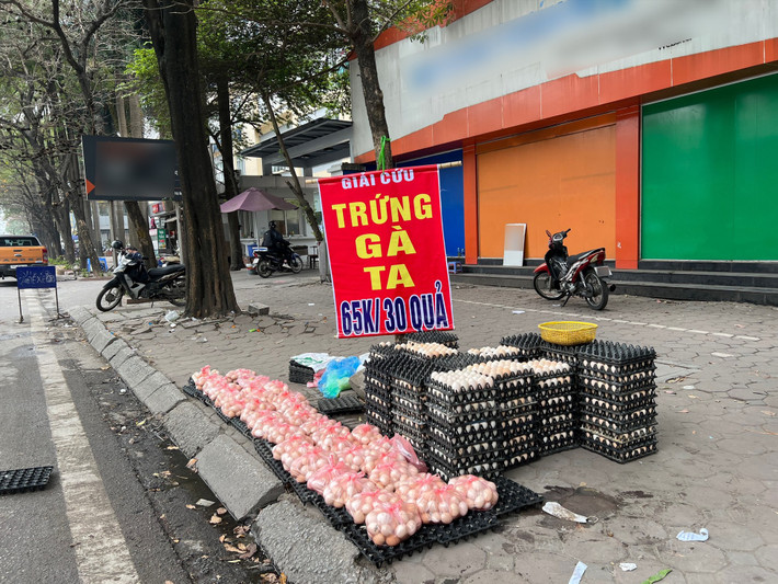 Chia sẻ trên Dân trí, một người bán hàng cho biết số trứng này có nguồn gốc từ xã Liên Châu, huyện Thanh Oai, Hà Nội. Theo anh này, thị trường sau Tết tiêu thụ chậm cộng với thời tiết nồm ẩm khó bảo quản nên đem trứng xuống trung tâm để giải cứu giúp bà con. Ảnh: Lao động
