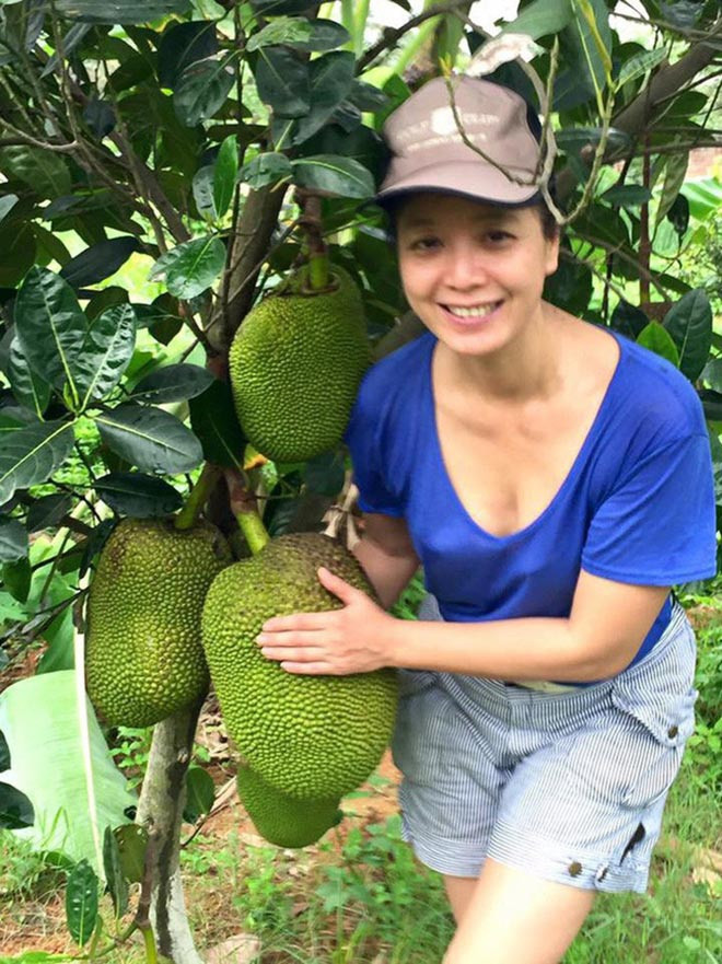 Các đồng nghiệp, bạn bè rất thích thú với khu vườn của Chiều Xuân nên thường hay đến để chụp ảnh, dạo vườn.