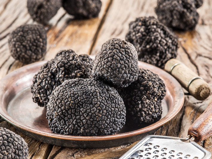 Một yếu tố khác khiến nấm truffle vô cùng đắt đỏ là việc trồng cực kỳ khó khăn và không thể đoán trước. Pháp đã trồng thành công nấm cục từ giữa đến cuối những năm 1800. Ảnh: Getty