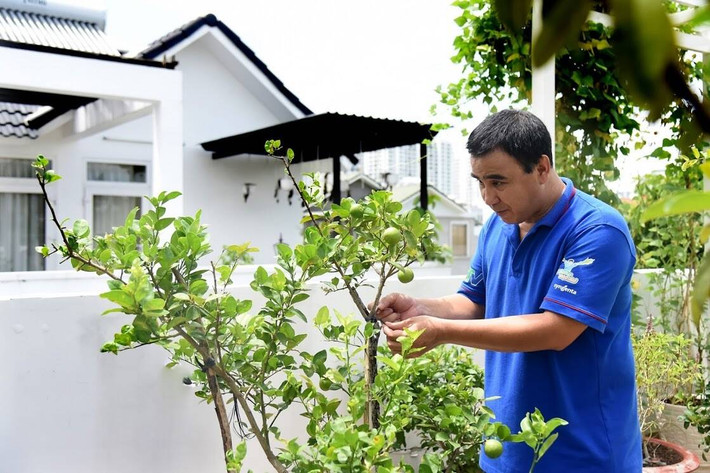 Đặc biệt nhất là khu vực sân thượng được bố trí như một vườn sinh thái nhỏ.