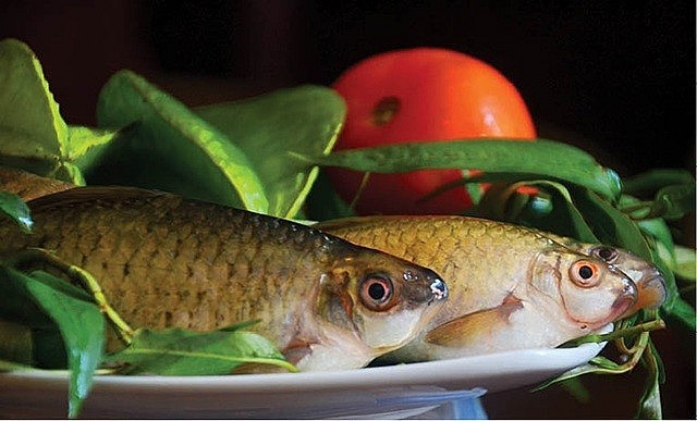 Cá lúi là đặc sản nổi tiếng chỉ có ở sông Côn (Bình Định), sông Ba (Gia Lai) và thường xuất hiện vào những tháng mùa hè oi bức. Ảnh: Internet