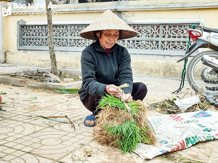 Lúa non được bó bằng sợi rơm khô, người mua nhiều thì bán nhiều, ai mua ít bán ít, khiến phiên chợ đặc biệt tấp nập lạ thường. Ảnh: Baonghean