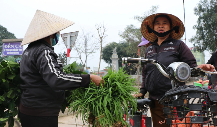 Tại phiên chợ lúa non này, người có nhiều thì thu được cả triệu đồng, người ít thì vài trăm nghìn đồng. Ảnh: Dân trí