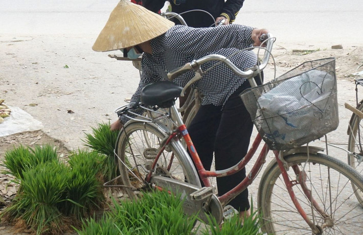 Đây được xem là phiên chợ "độc nhất vô nhị" tại địa phương khi mặt hàng được bán là những bó lúa non của người dư, bán cho người cần. Ảnh: Dân Việt