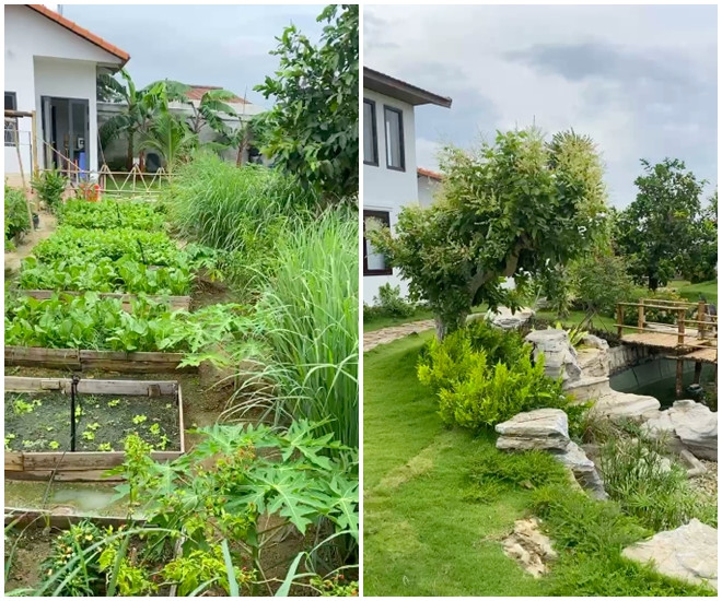 Nhiều người thực sự ngưỡng mộ không gian sống xanh của Trường Giang - Nhã Phương. Ảnh: FBNV
