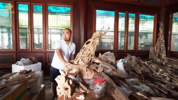 Khối trầm nhỏ cỡ một cánh tay ôm có giá khoảng 700 - 800 triệu đồng. Trong phòng, có vài chục khối trầm hương như vậy.