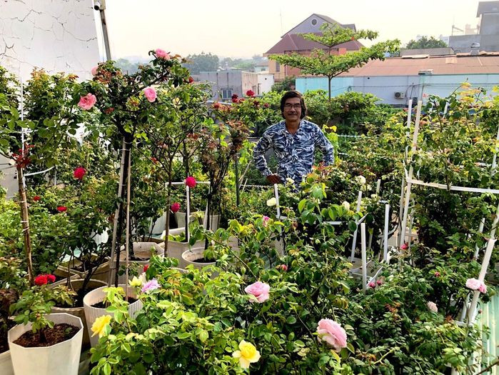 Lọt thỏm giữa những căn nhà cao tầng, vườn hoa hồng luôn rực rỡ trên mái nhà của ông Nguyễn Văn Long (61 tuổi, ngụ phường Hố Nai, TP Biên Hòa, tỉnh Đồng Nai) khiến nhiều người thích thú. Ảnh: Bestie