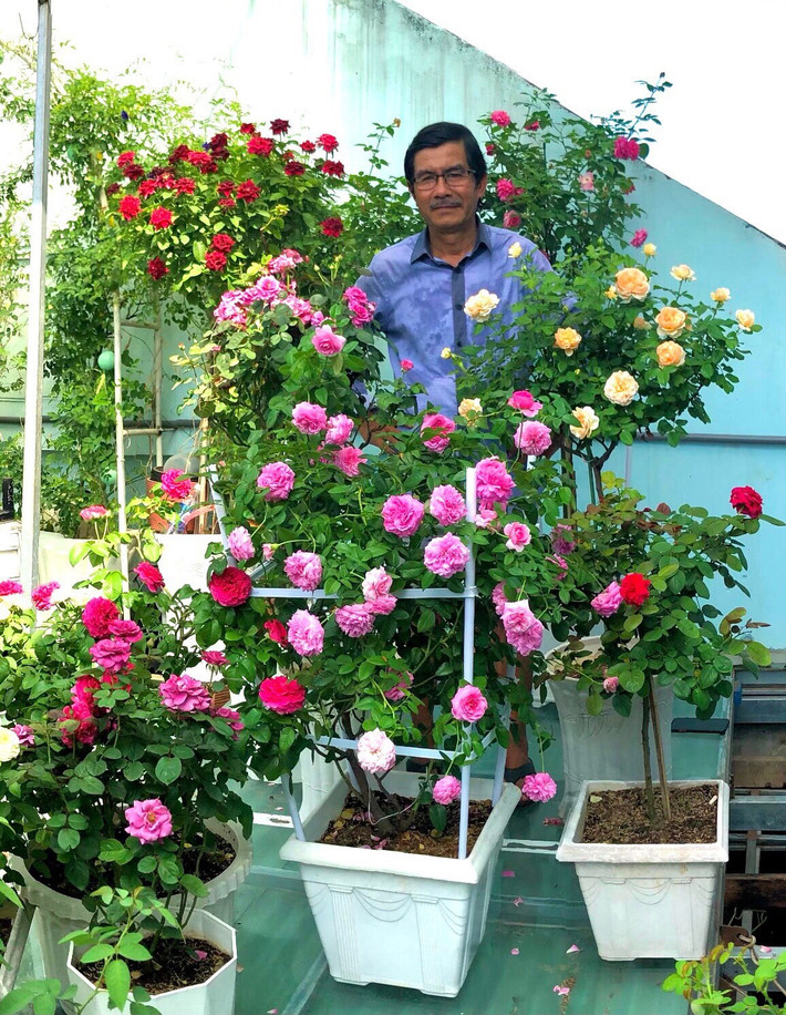 Đặc biệt, hơn 100 chậu hoa hồng được đặt trực tiếp trên mái tôn bỏng rát vào những ngày nắng nóng. Ảnh: Vietnamnet