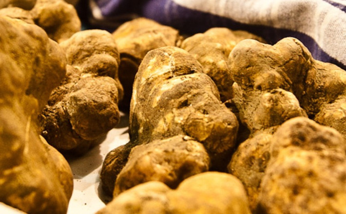 Nấm Truffle Alba trắng mọc ở Ý và là loại nấm đắt nhất thế giới được bán với giá 330.000 USD (hơn 7 tỷ đòng). Ảnh: Internet