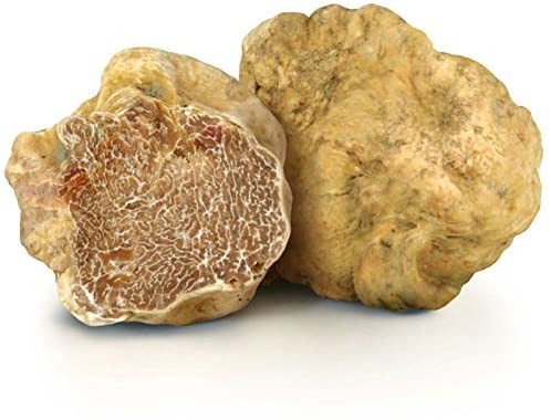 Trong khi nấm truffle đen được làm nguyên liệu trong rất nhiều món ăn trên thế giới thì nấm Truffle Alba trắng lại cực đắt đỏ và chỉ dành cho giới thượng lưu. Ảnh: Amazon