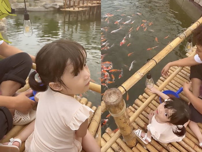 Con gái của Trường Giang - bé Destiny rất mê hồ cá Koi do ba xây dựng.