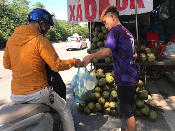 Lý giải về mức giá này, một người chuyên buôn dừa xiêm từ Nam ra Bắc, cho biết, những quả dừa giá rẻ đều là dừa xiêm nhưng họ vận chuyển lâu nên không còn tươi. Nếu không bán giá rẻ, một vài hôm nữa sẽ phải vứt đi. Ảnh: Dân Việt.