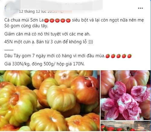 Bên cạnh các loại cà chua thông thường có vỏ đỏ au bán đầy chợ hay siêu thị, thời gian gần đây trên chợ mạng xuất hiện nhiều người rao bán loại cà chua múi Sơn La.