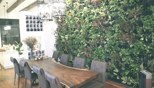 Nhà bếp và phòng ăn bài trí tối giản với thảm cây xanh và bộ bàn ghế gỗ sang trọng. Ảnh: Lao động.