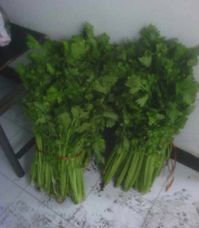 Cùng năm 2014, một công ty tại Trùng Khánh lại thưởng cho nhân viên mỗi người một bó cần tây. Lý do là chúng phát âm gần như "làm việc chăm chỉ và kiếm nhiều tiền". Ảnh: Kknews.