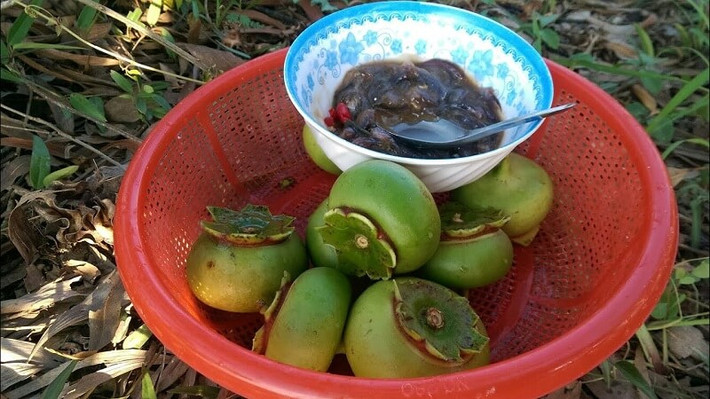 Trái bần hoang dã từ thứ bỏ đi rụng đầy ở ven bãi bồi giờ được bà con thu hoạch, lượm quả để bán, thậm chí trái bần được xuất khẩu sang nhiều nước Canada, Đức, Úc..