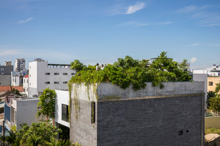 Trong đó, Thắng House vinh hạnh giành được chiến thắng ở hạng mục dân cư - nhà đơn. Đây là công trình kiến trúc xây tại Đà Nẵng giúp giảm tối đa năng lượng tiêu thụ và tự cung cấp trong vật liệu và năng lượng. Ảnh: Archdaily