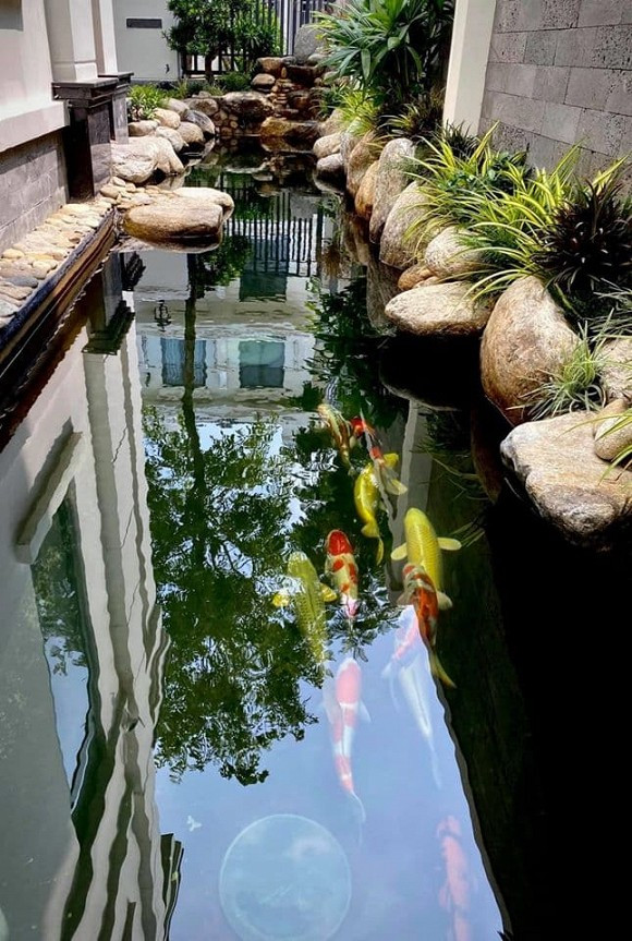 Bên ngoài biệt thự của Vân Hugo thoáng mát và có nhiều cây xanh, hồ cá...Ảnh: FBNV.
