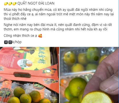 Khoảng 2 tuần nay, trên chợ mạng xuất hiện nhiều tiểu thương rao bán quất ngọt Đài Loan (hay còn gọi quất mật Đài Loan).